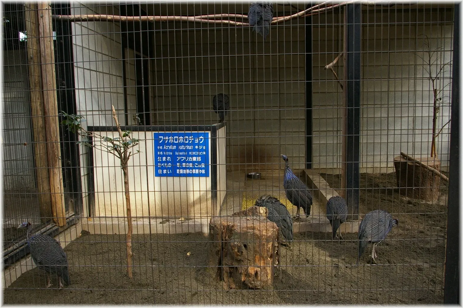 Yumemigasaki Zoological Park