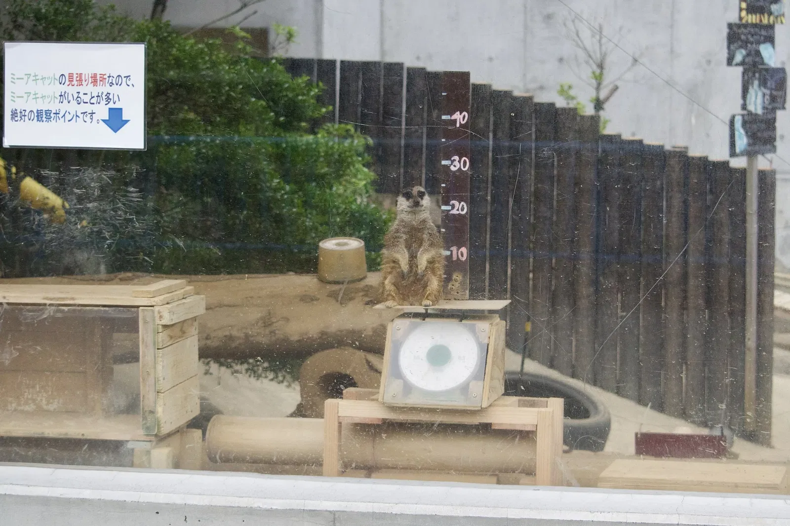 Hamamatsu Zoological Gardens