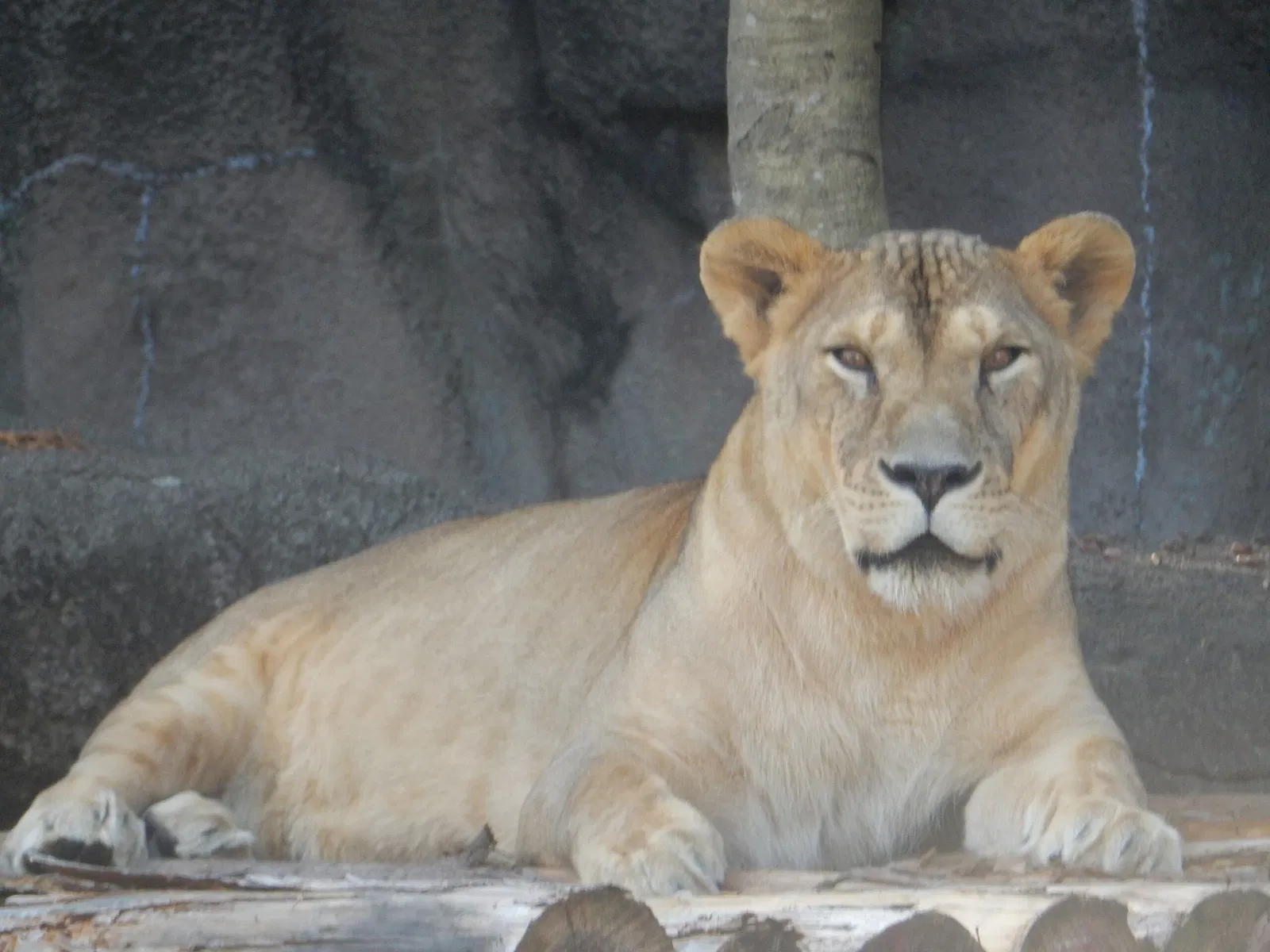 Hamamatsu Zoological Gardens