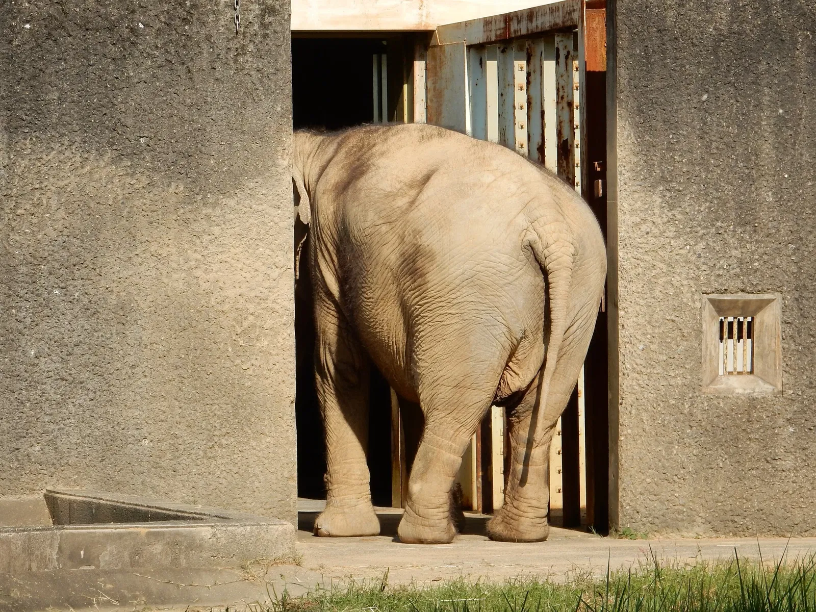 Hamamatsu Zoological Gardens