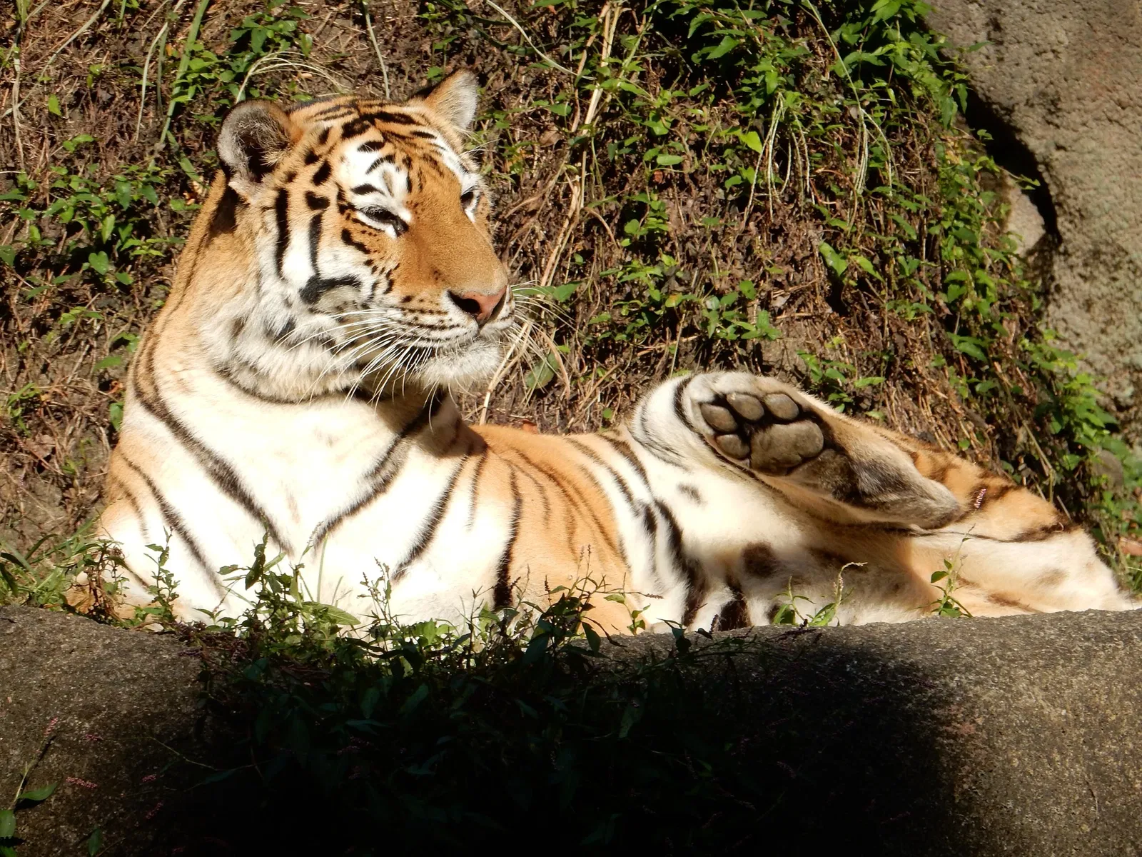 Hamamatsu Zoological Gardens