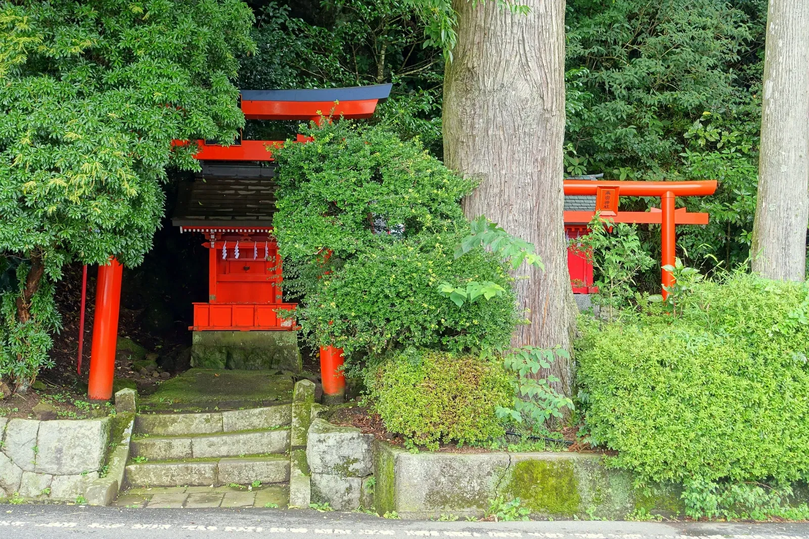 Hakone Shrine