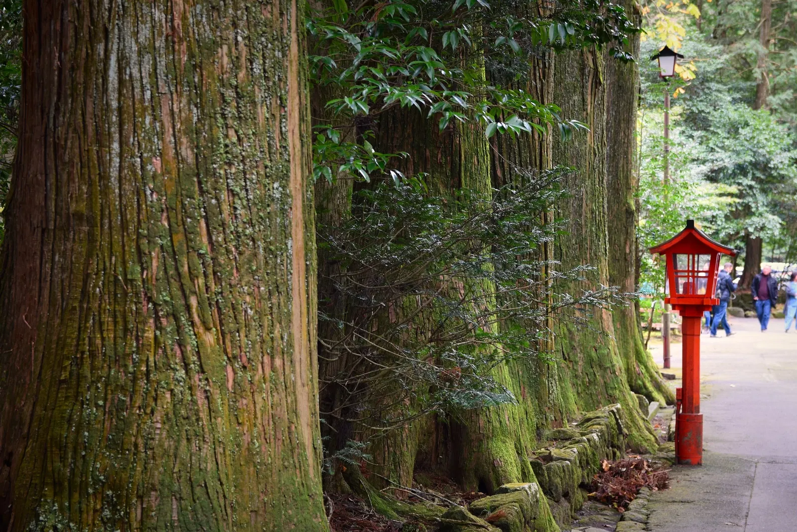Hakone Shrine