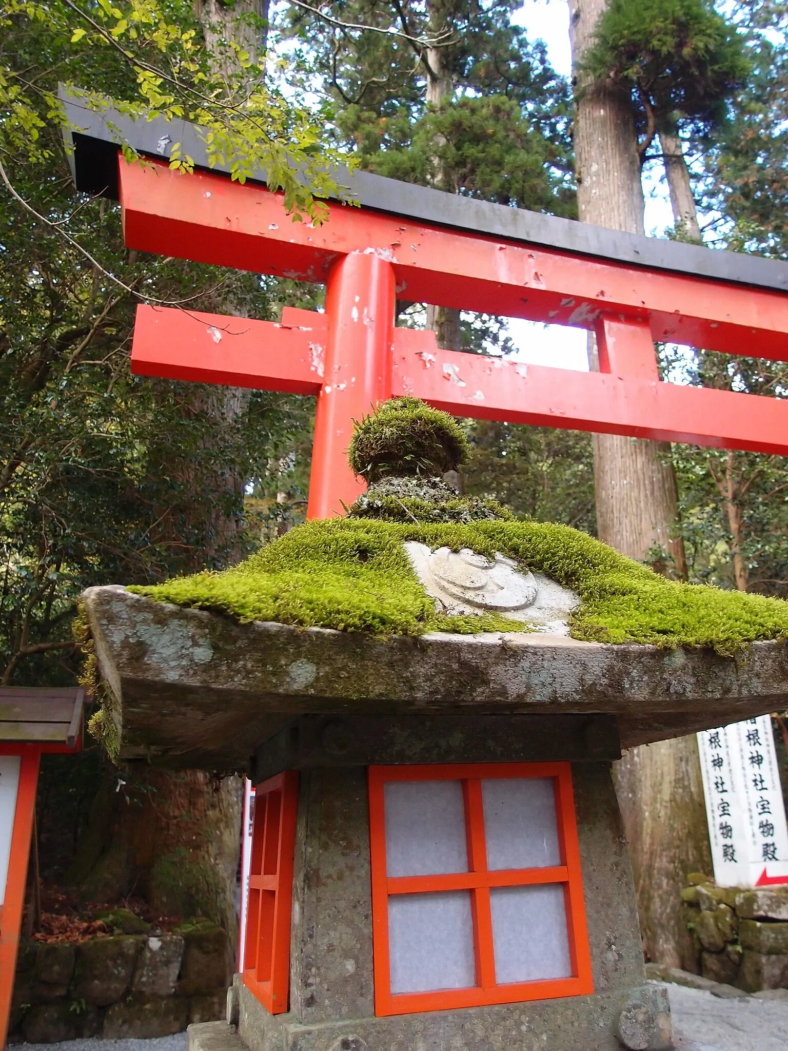 Hakone Shrine