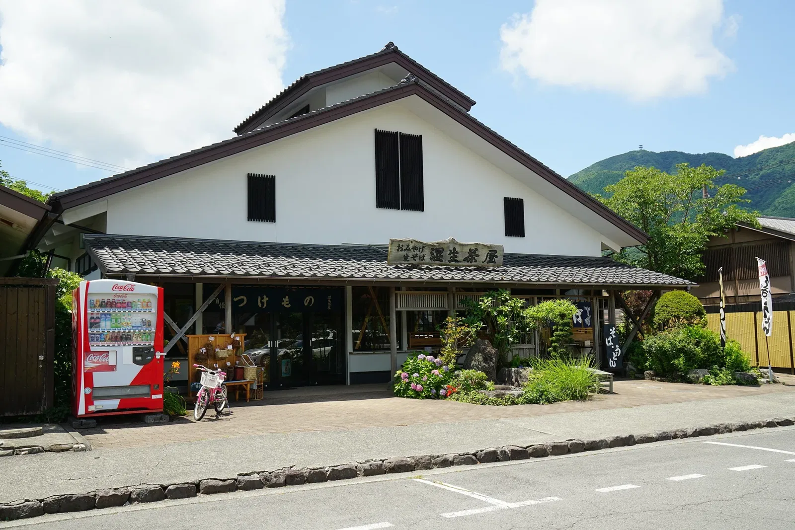 Hakone Botanical Garden of Wetlands