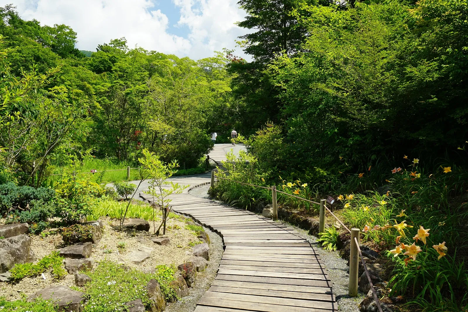 Hakone Botanical Garden of Wetlands