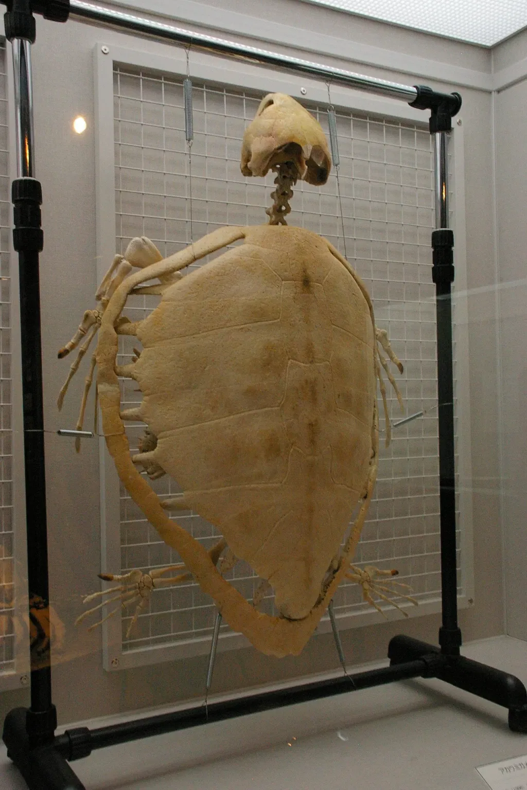 Otaru City General Museum