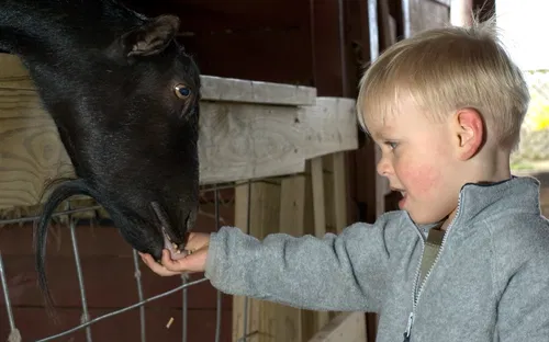 Pocono Snake & Animal Farm