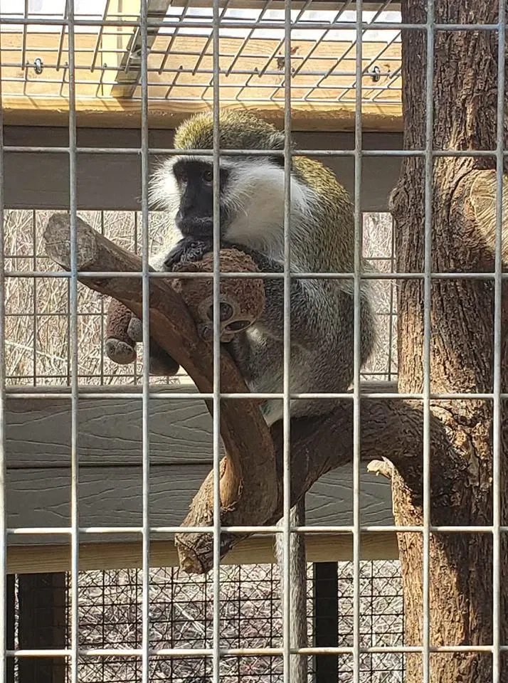 Pocono Snake & Animal Farm