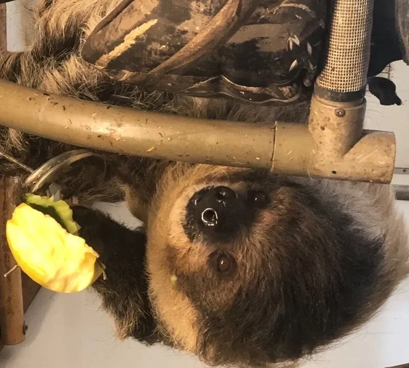 Pocono Snake & Animal Farm