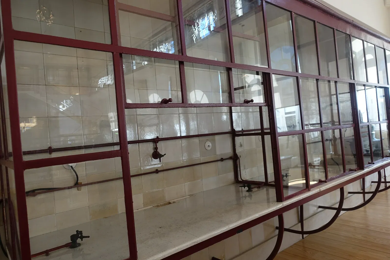 Museu de História Natural e da Ciência da Universidade