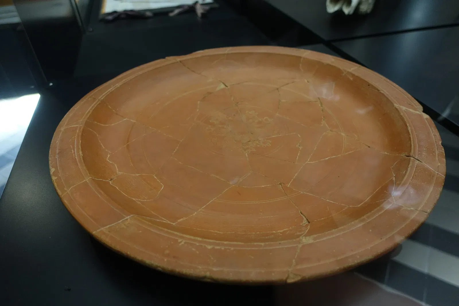 Museu de História Natural e da Ciência da Universidade