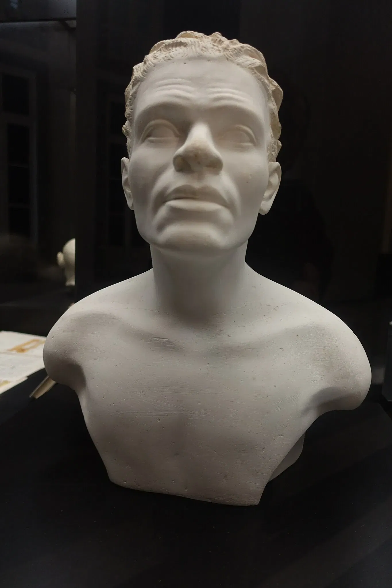 Museu de História Natural e da Ciência da Universidade