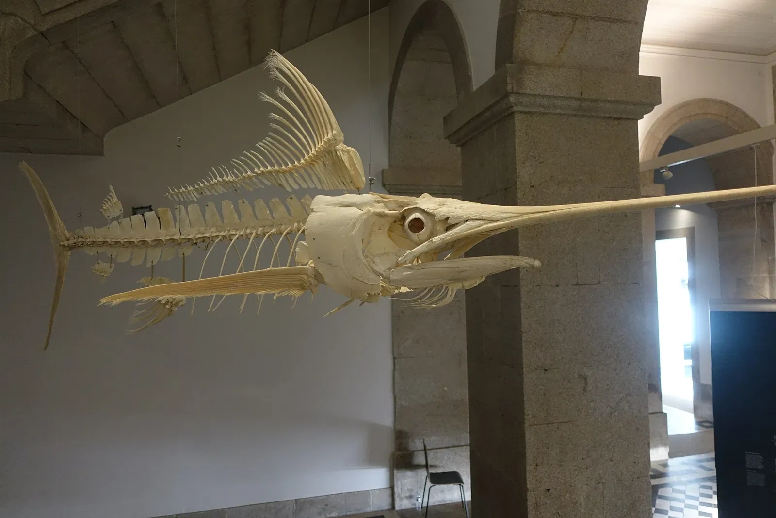 Museu de História Natural e da Ciência da Universidade