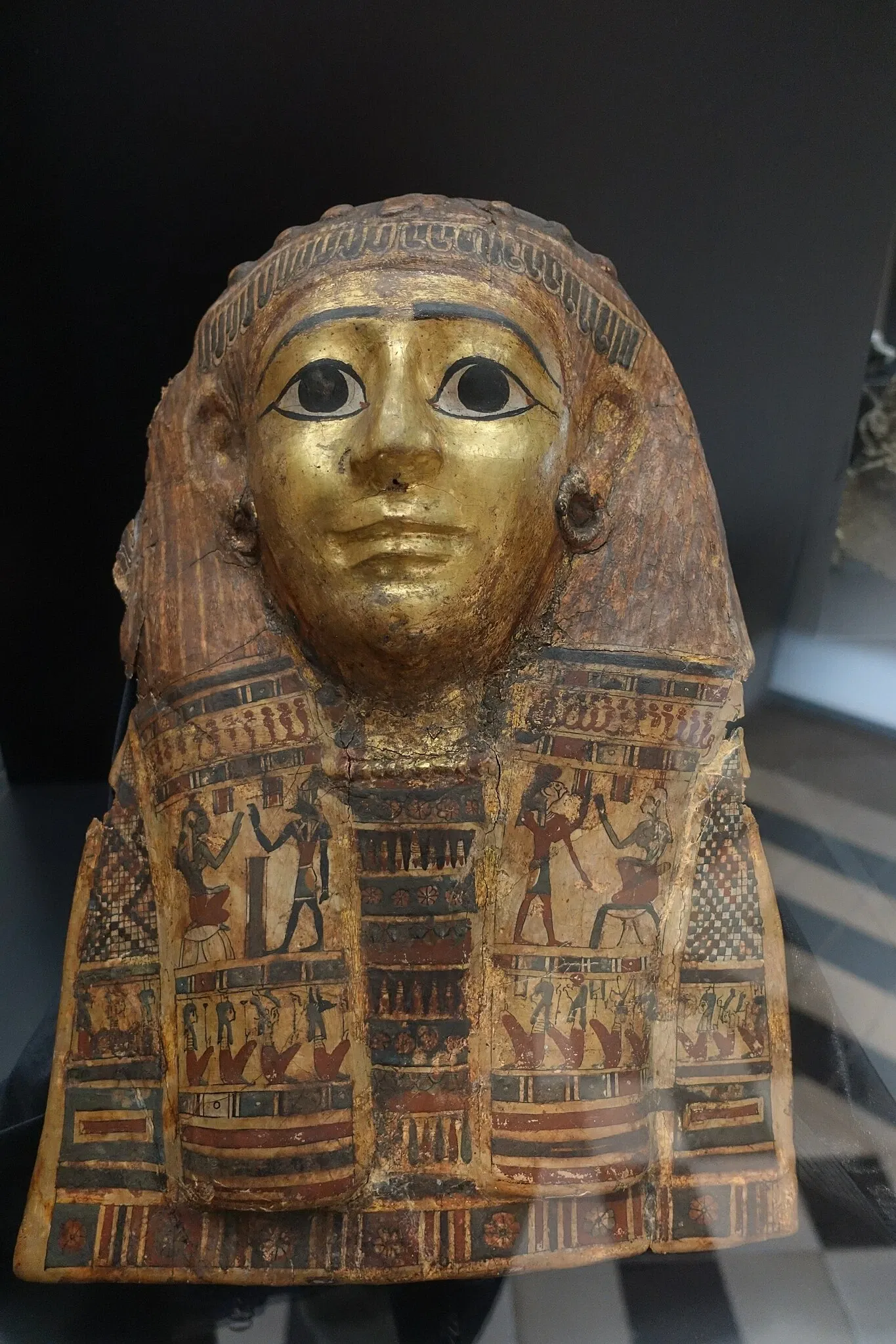 Museu de História Natural e da Ciência da Universidade