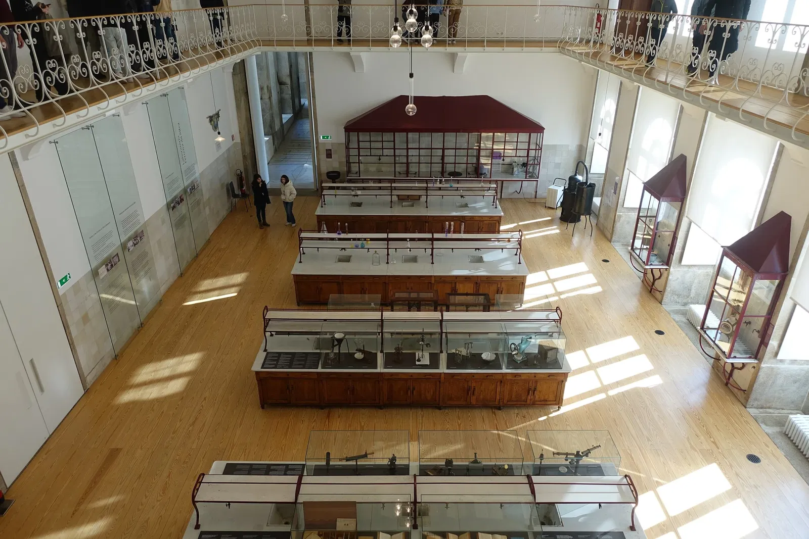 Museu de História Natural e da Ciência da Universidade