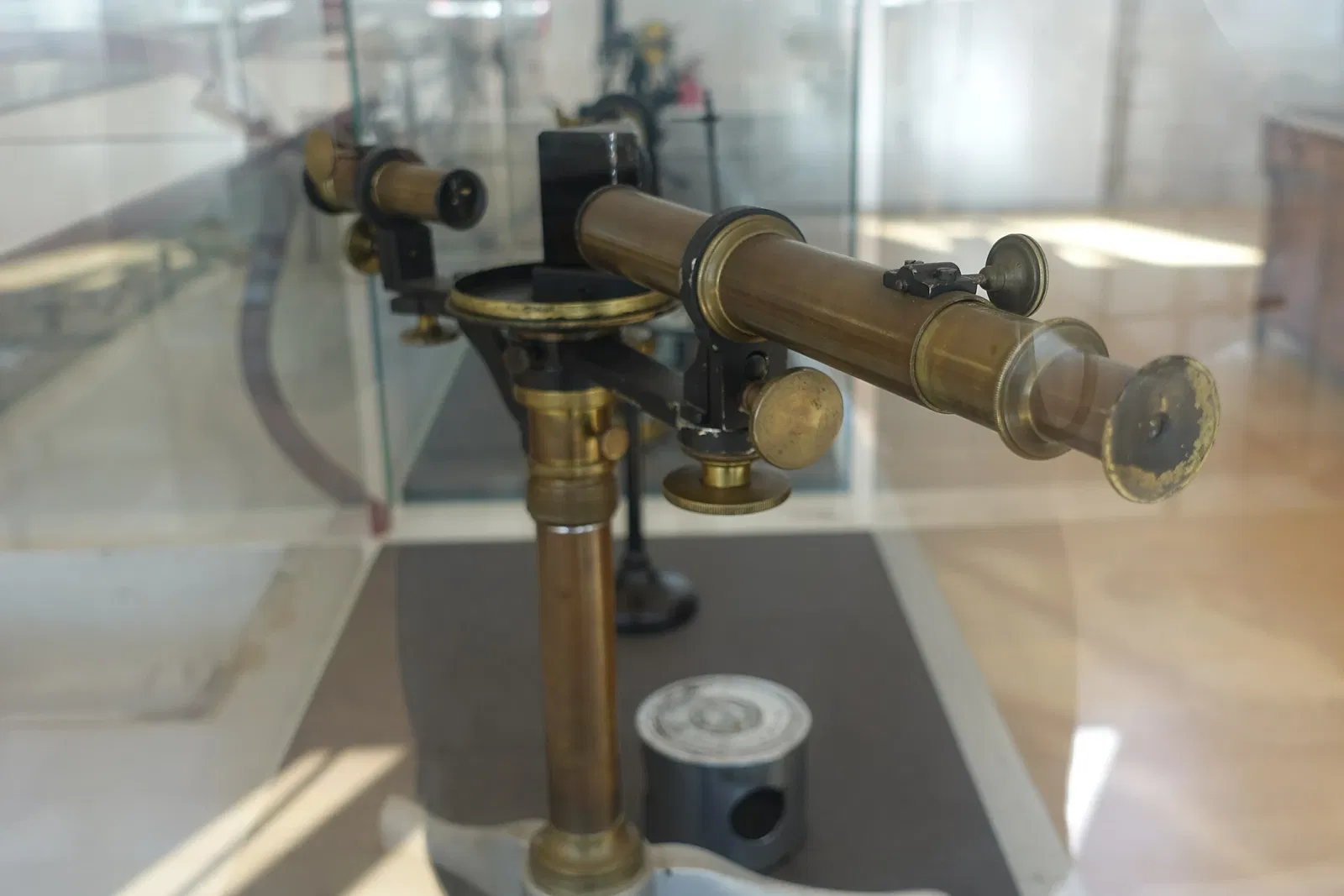 Museu de História Natural e da Ciência da Universidade