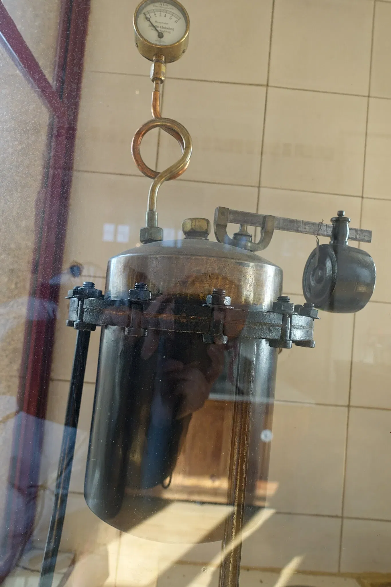 Museu de História Natural e da Ciência da Universidade