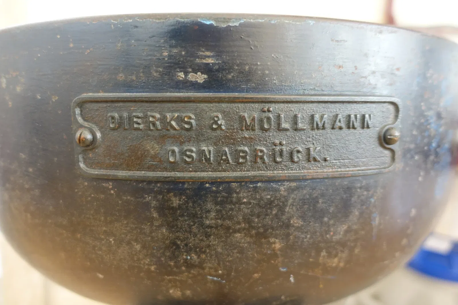 Museu de História Natural e da Ciência da Universidade