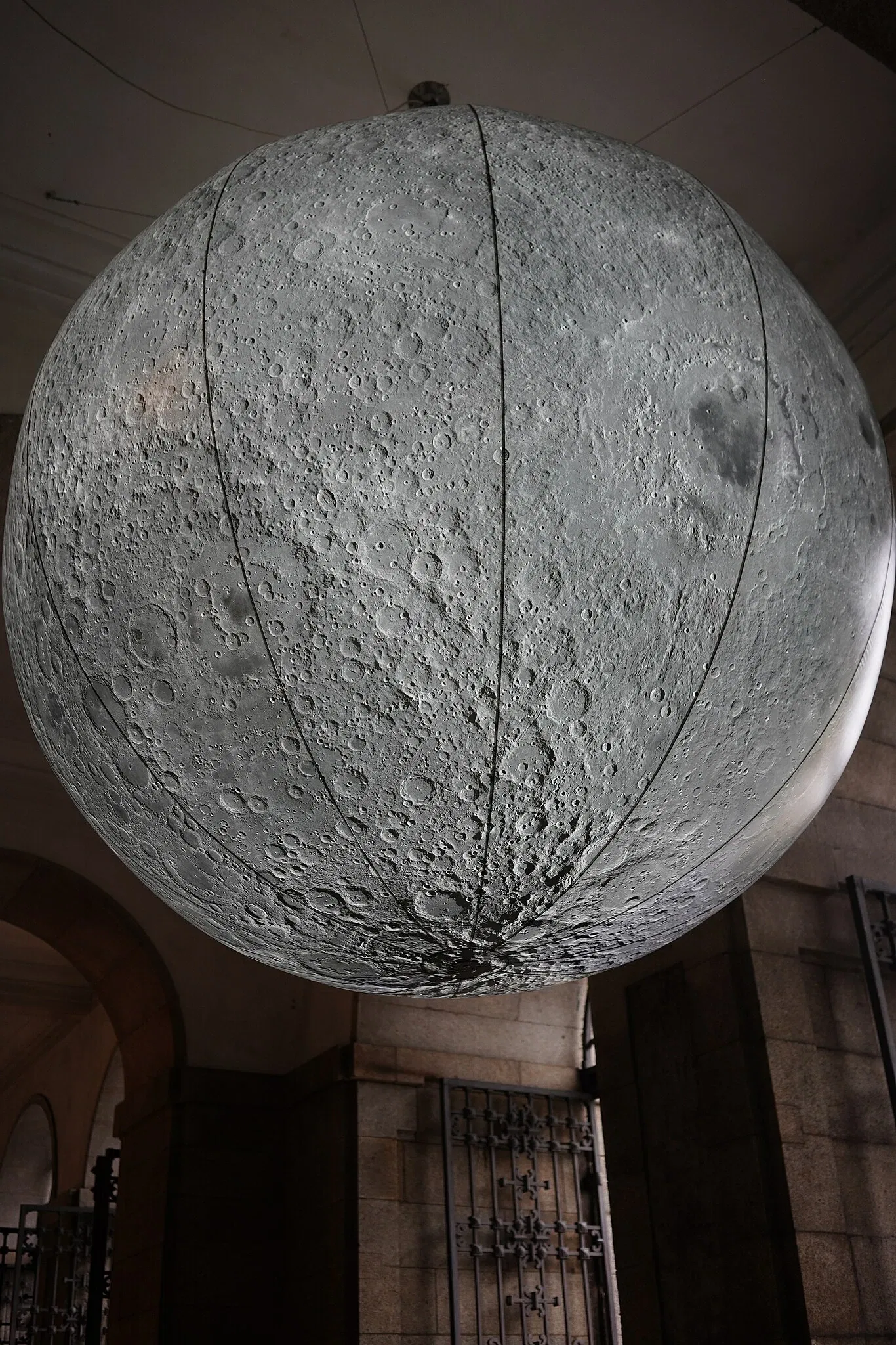 Museu de História Natural e da Ciência da Universidade