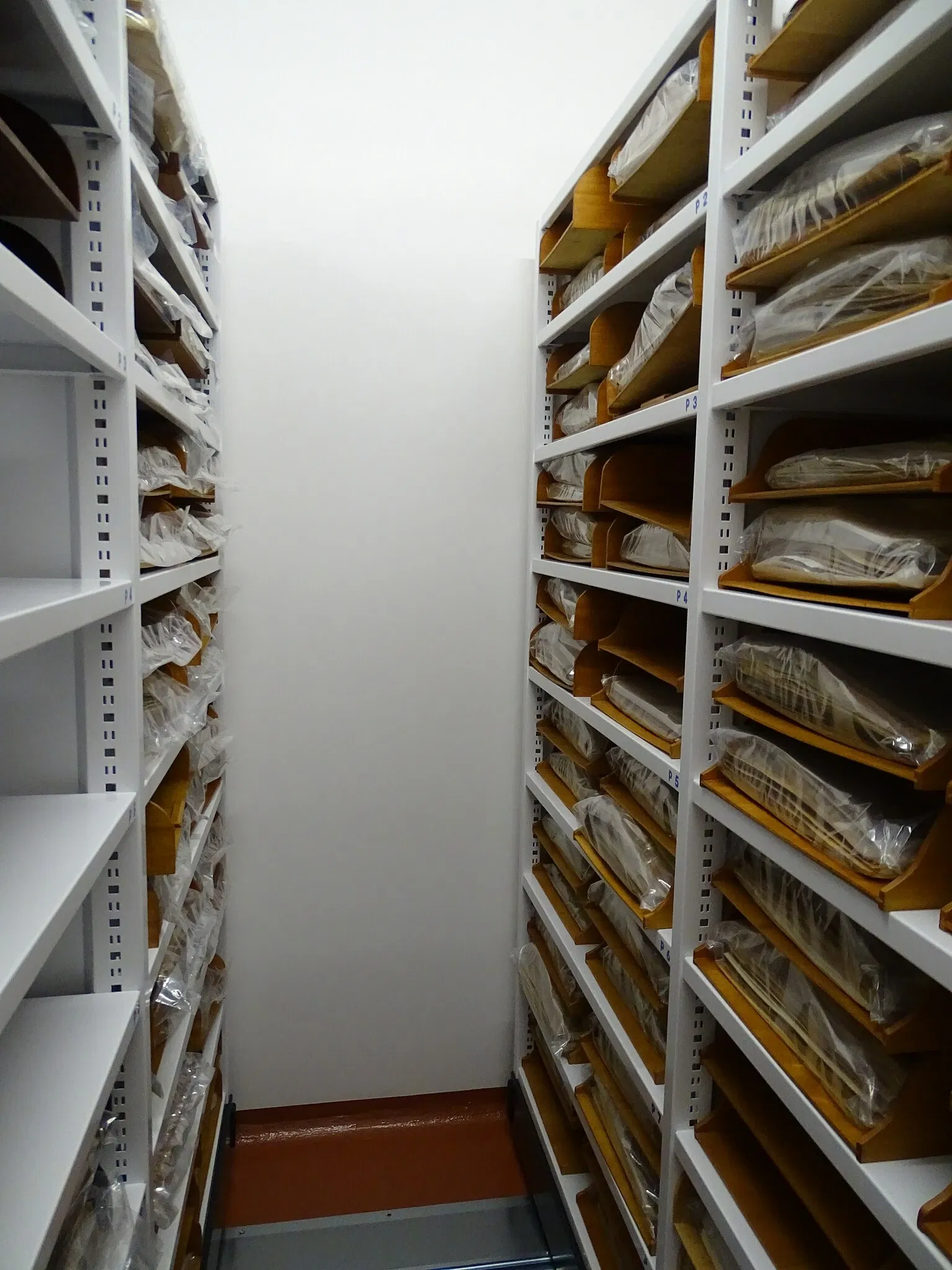 Natural History Museum