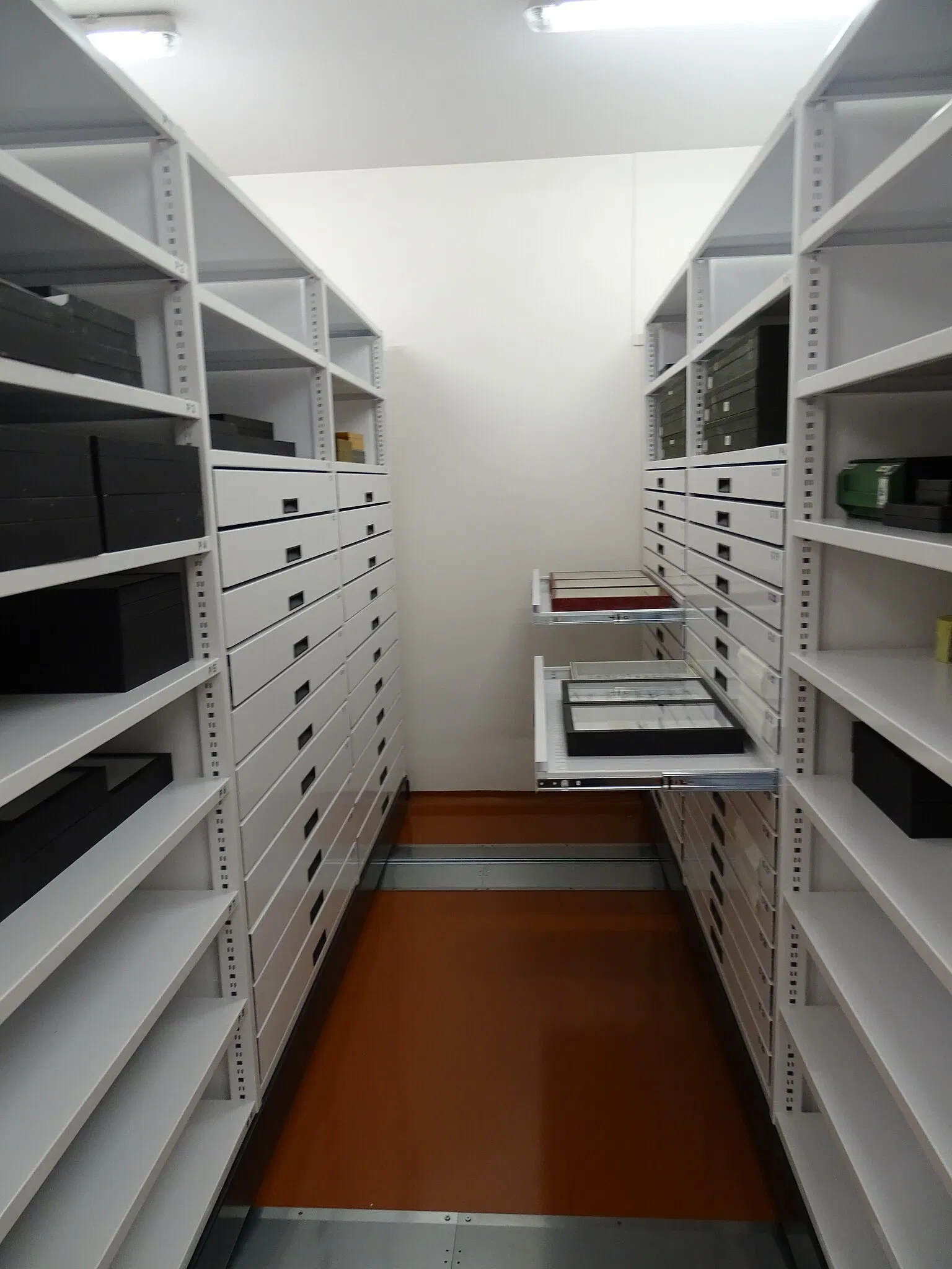 Natural History Museum