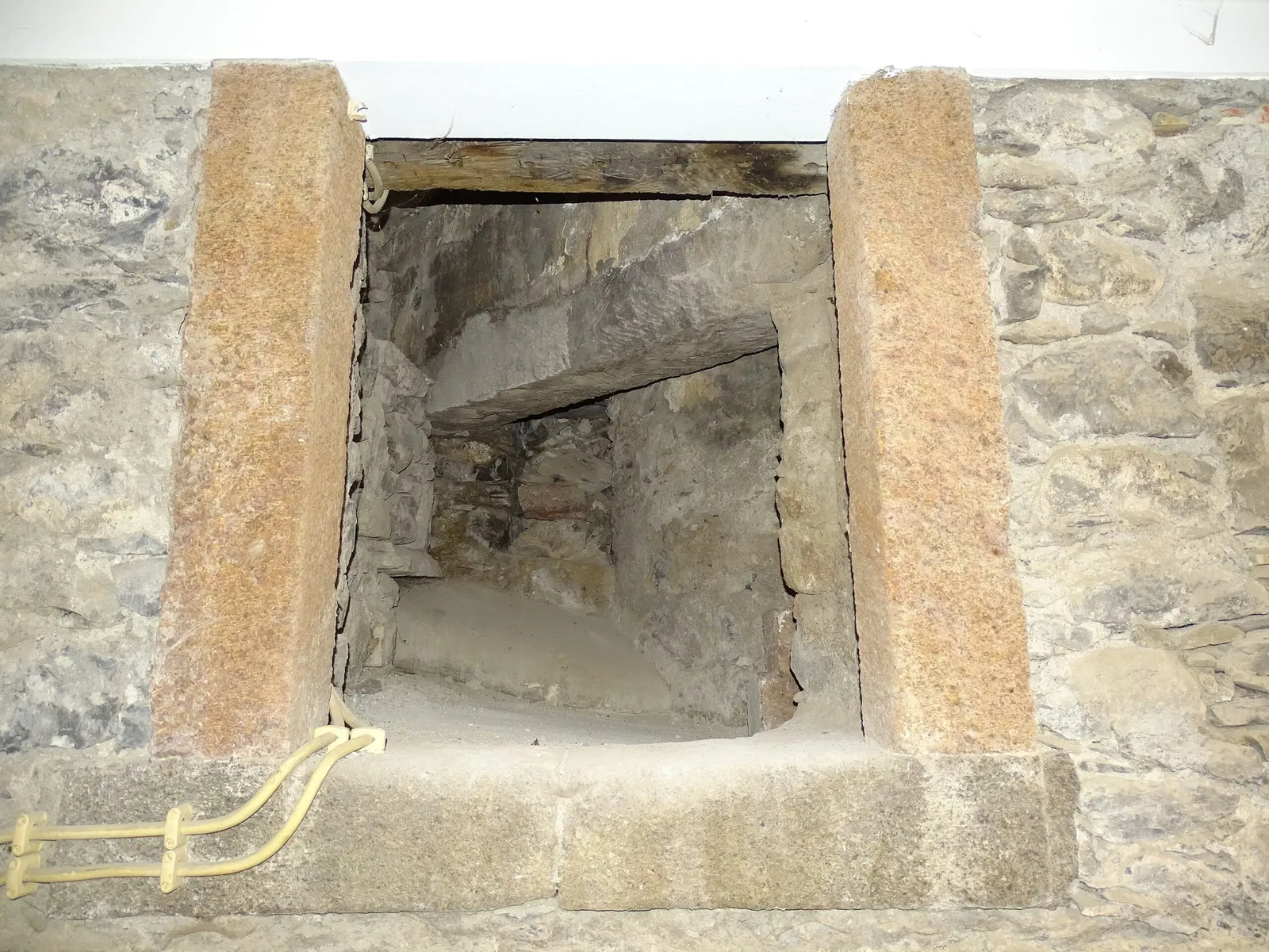 Natural History Museum