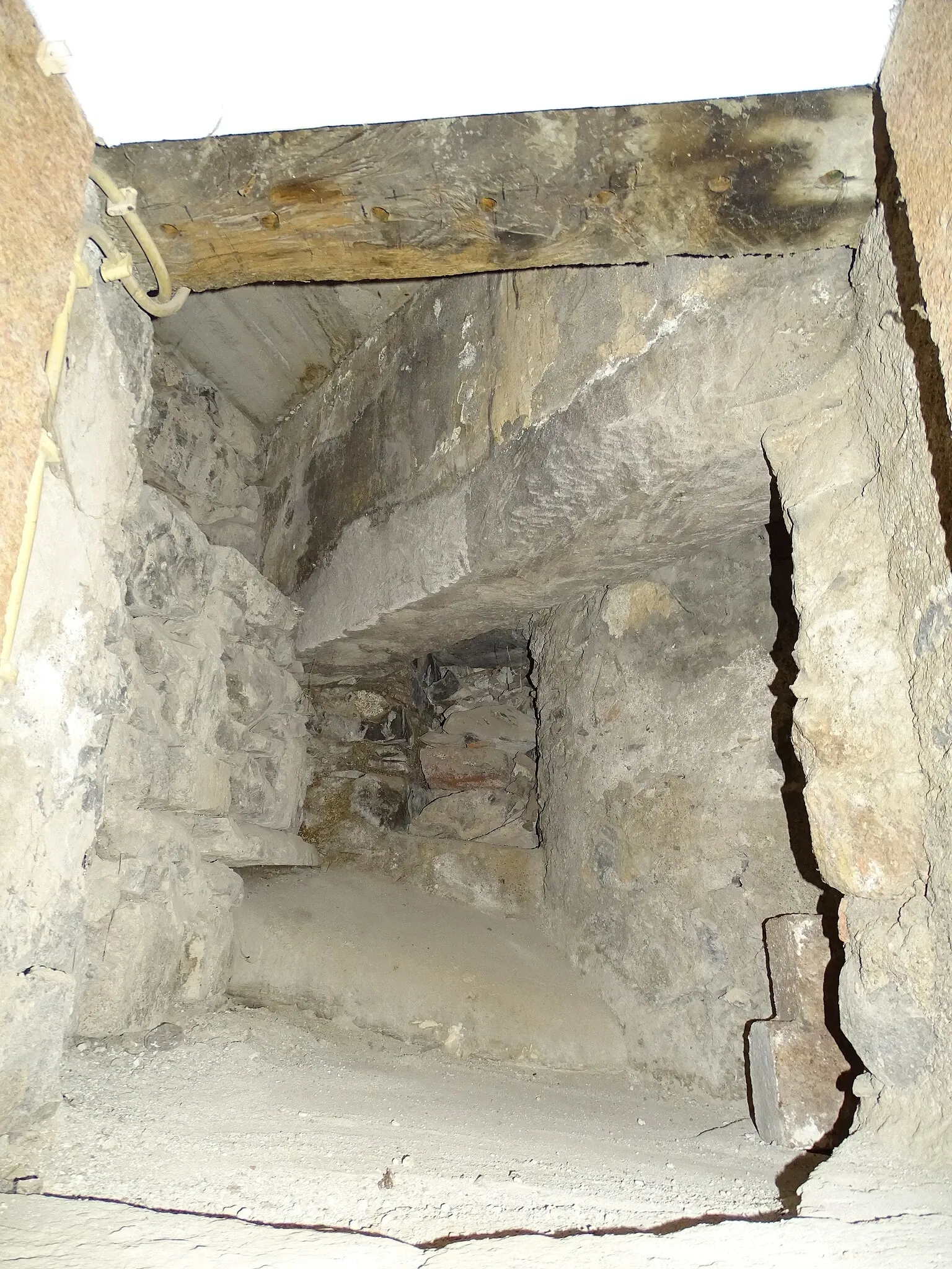 Natural History Museum