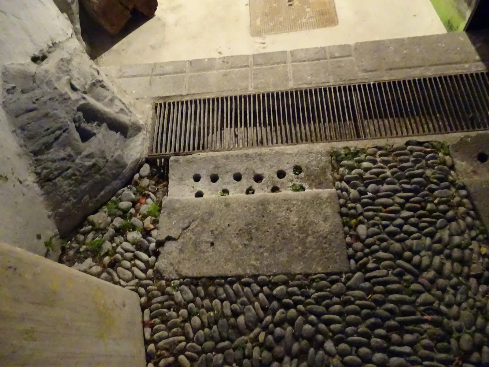 Natural History Museum