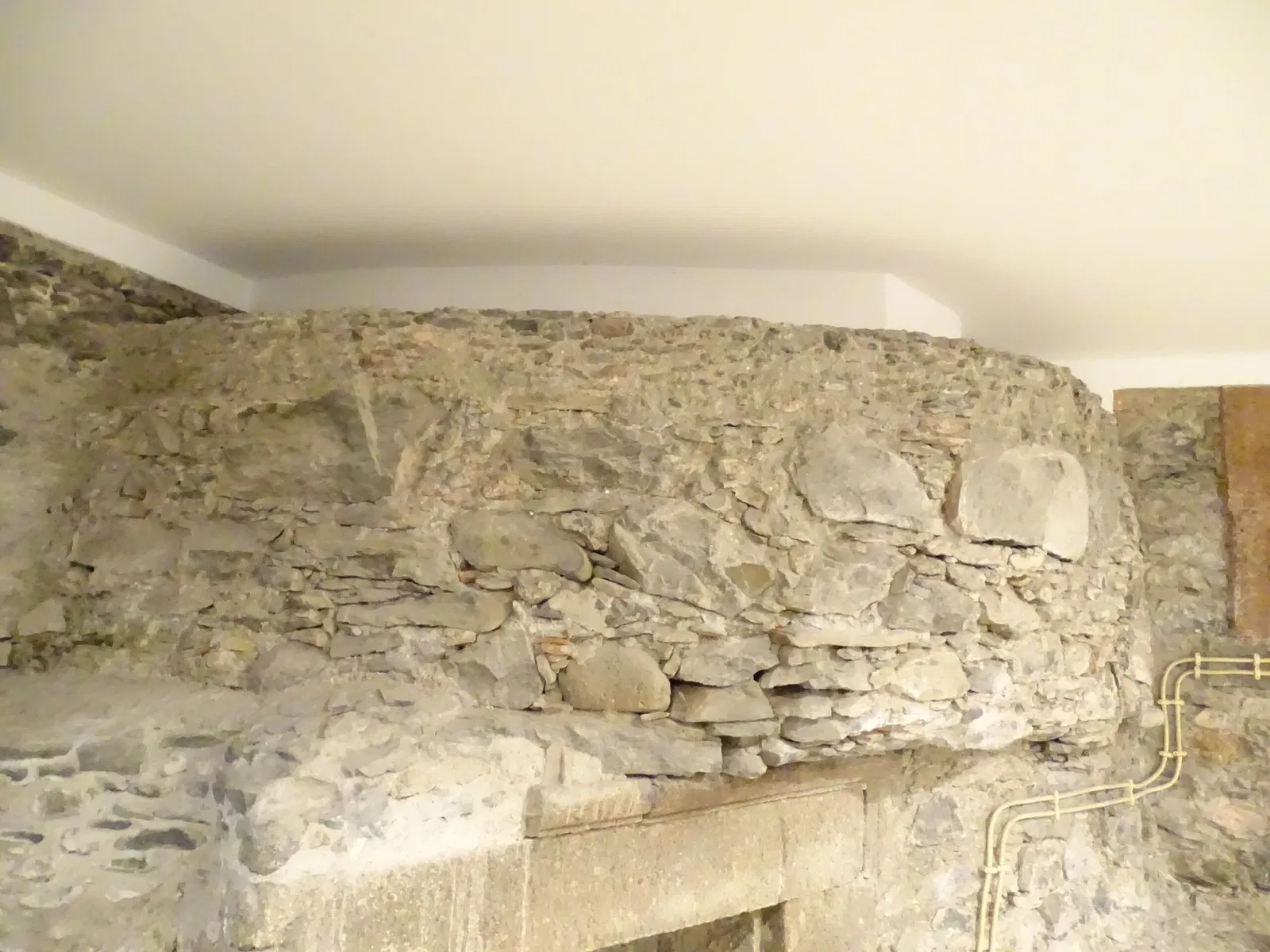 Natural History Museum