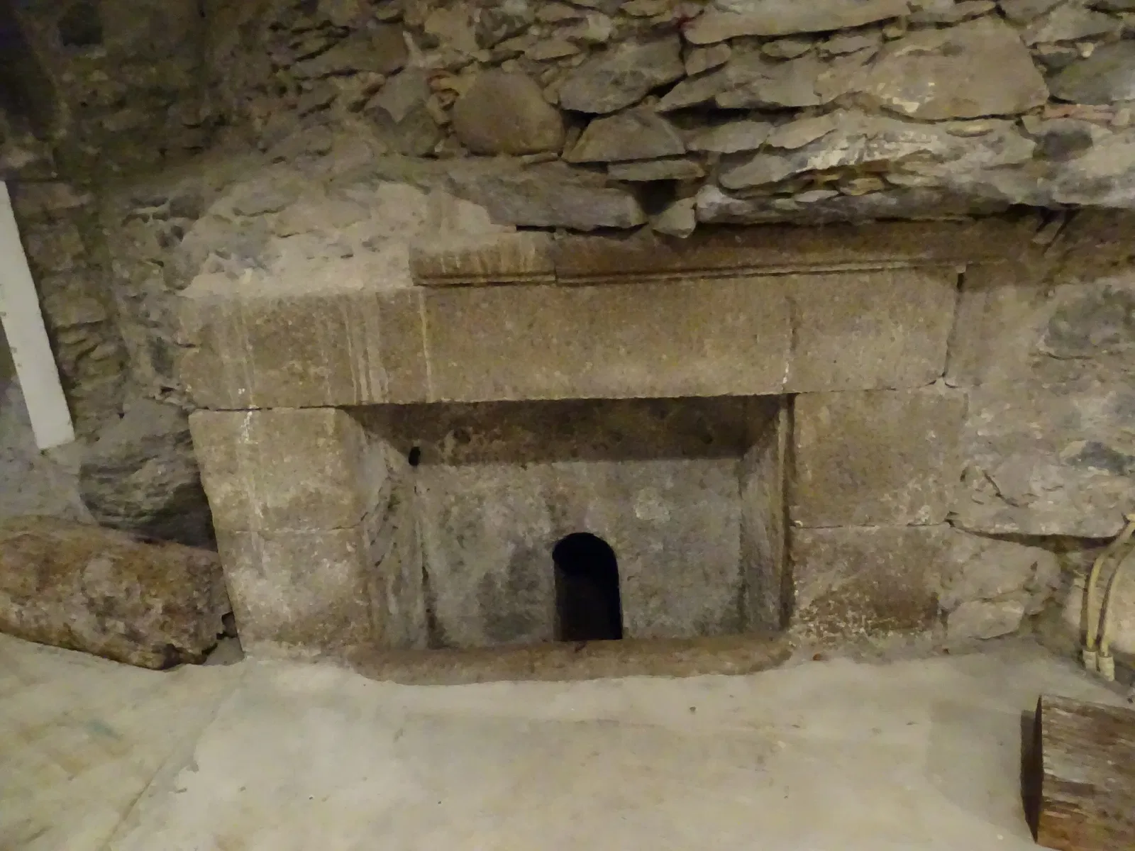 Natural History Museum