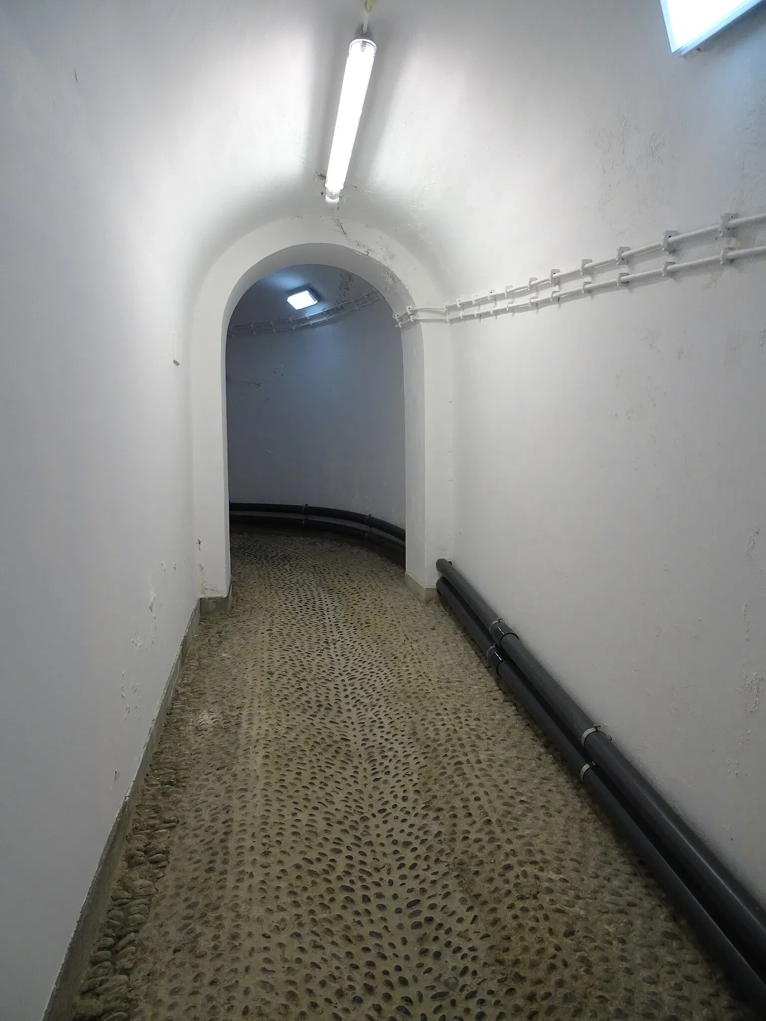 Natural History Museum