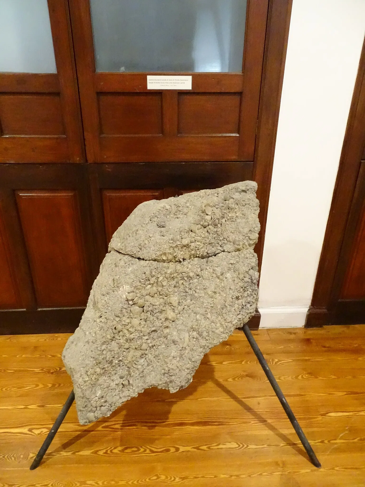 Natural History Museum