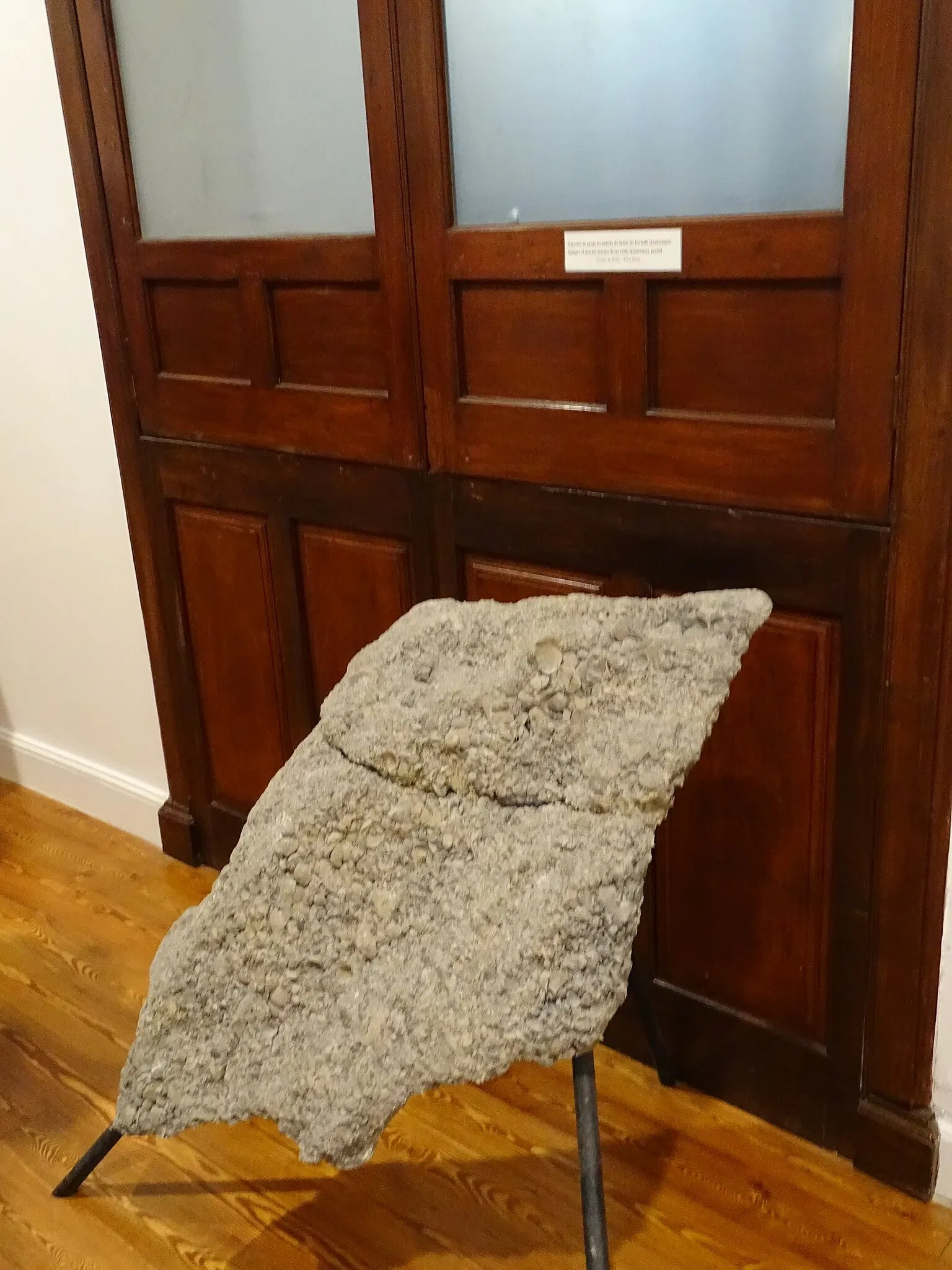 Natural History Museum