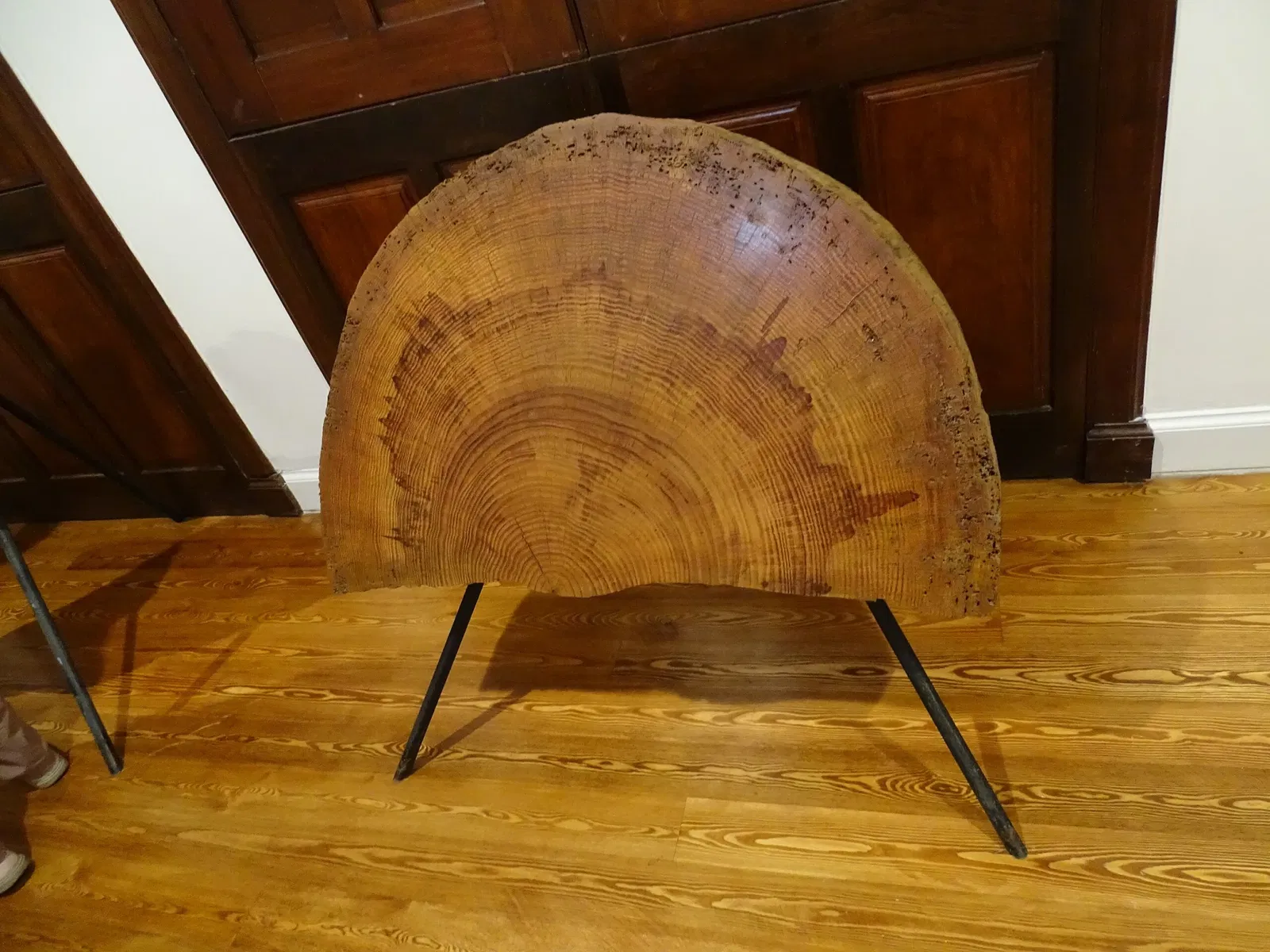 Natural History Museum