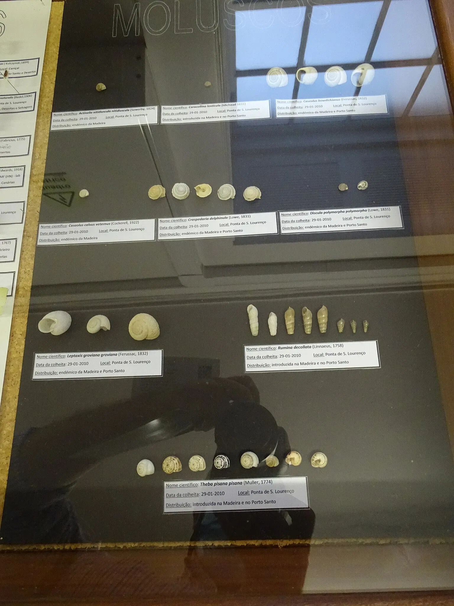 Natural History Museum