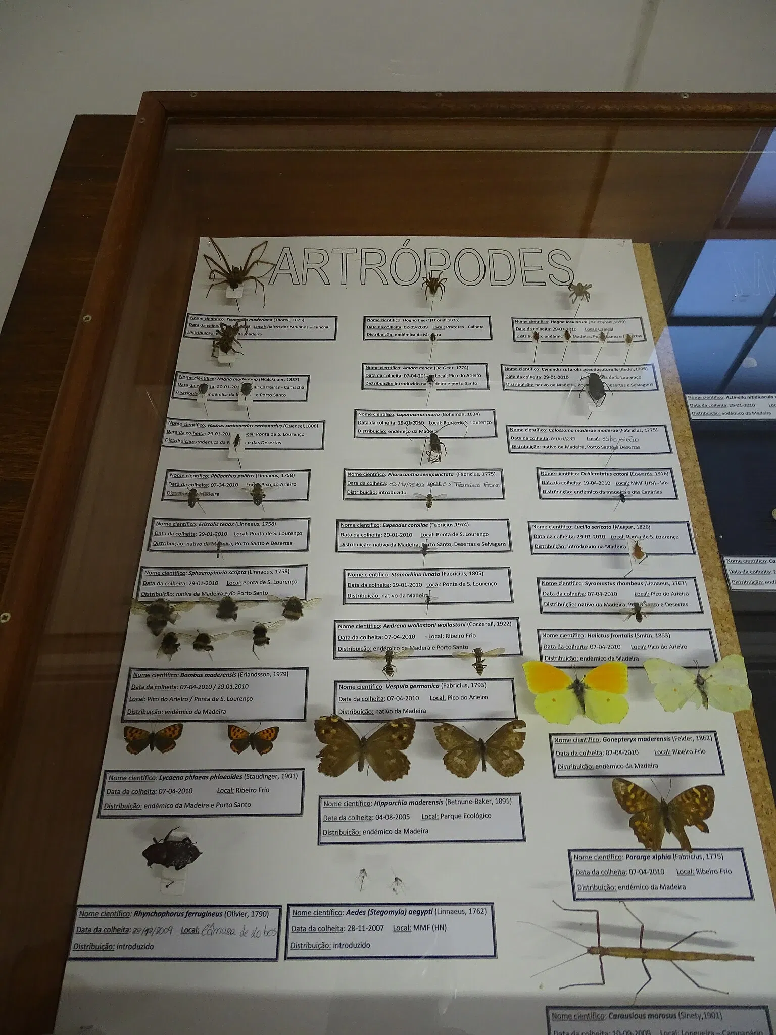 Natural History Museum