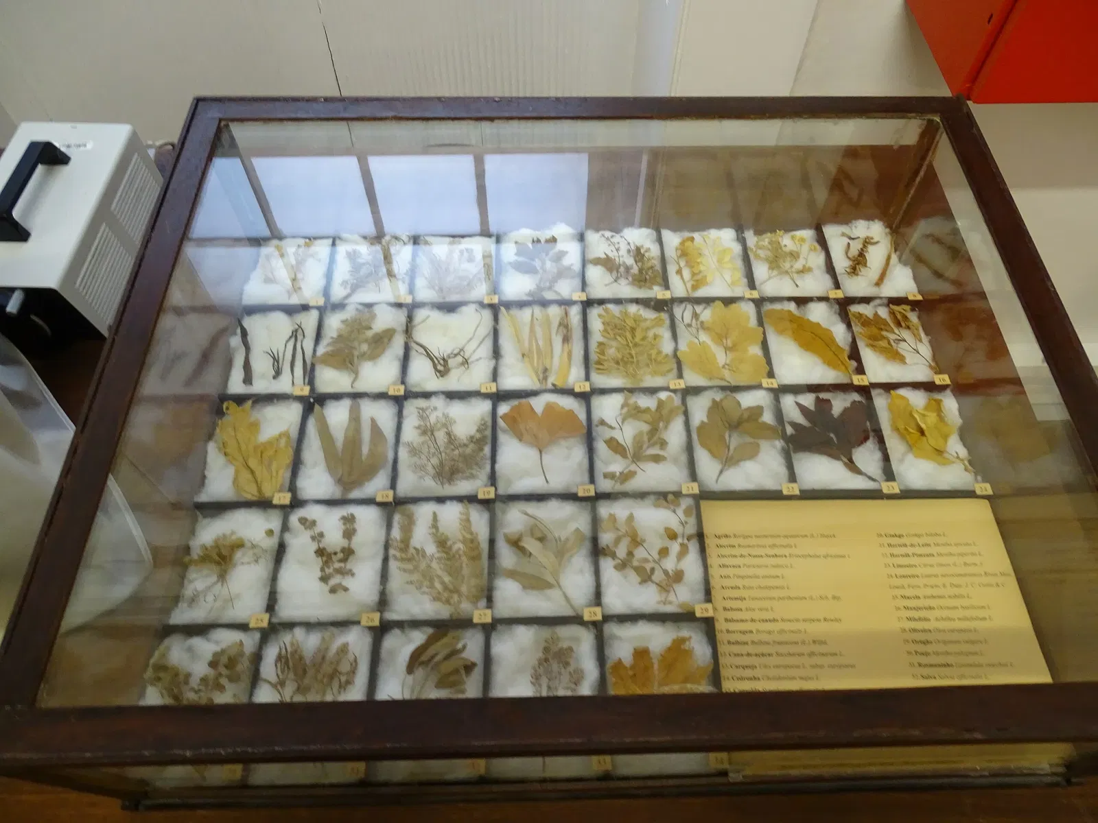 Natural History Museum