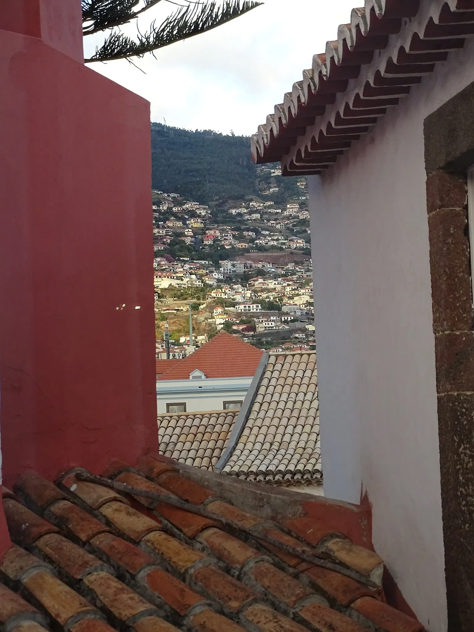 Natural History Museum