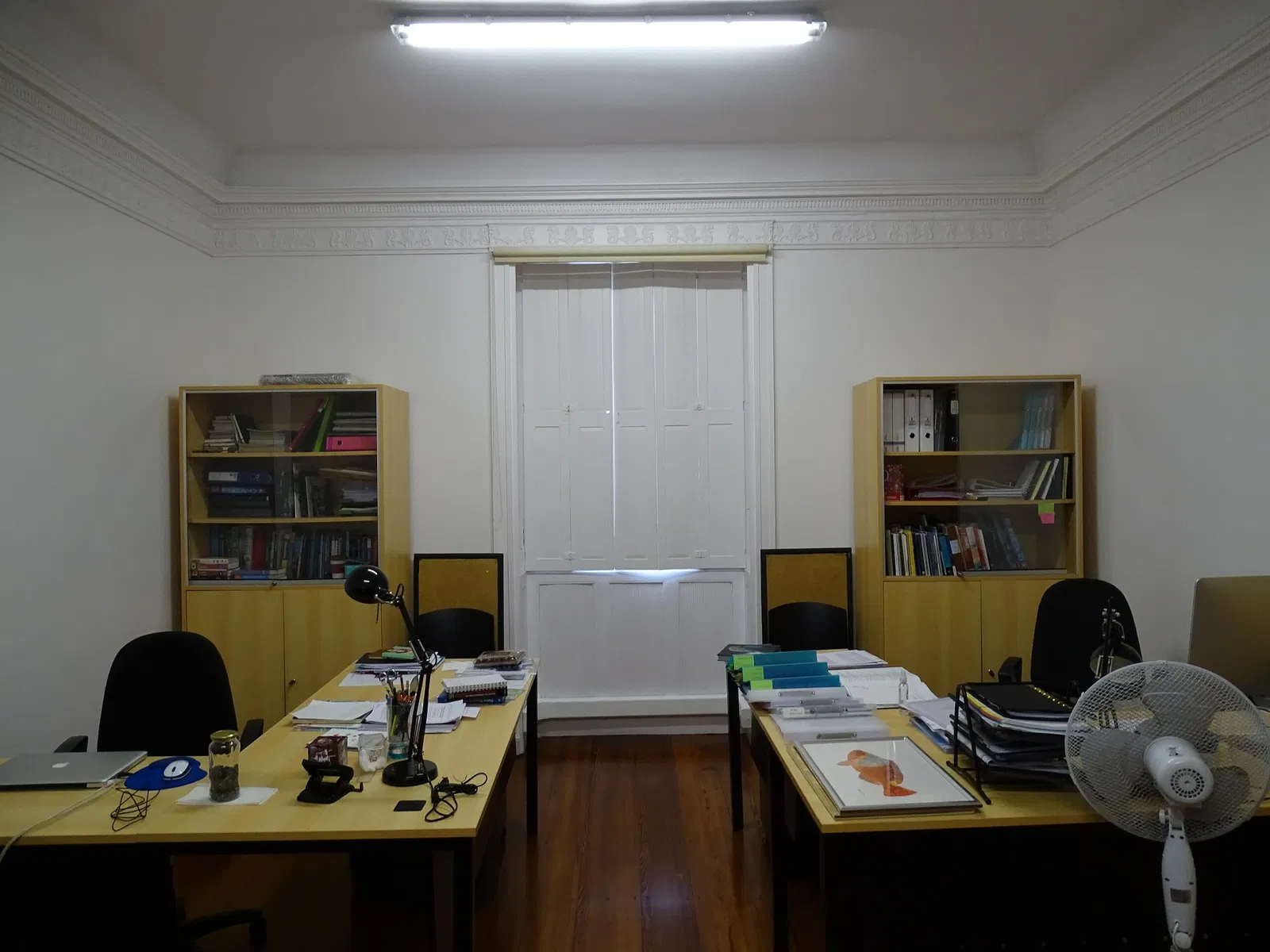 Natural History Museum