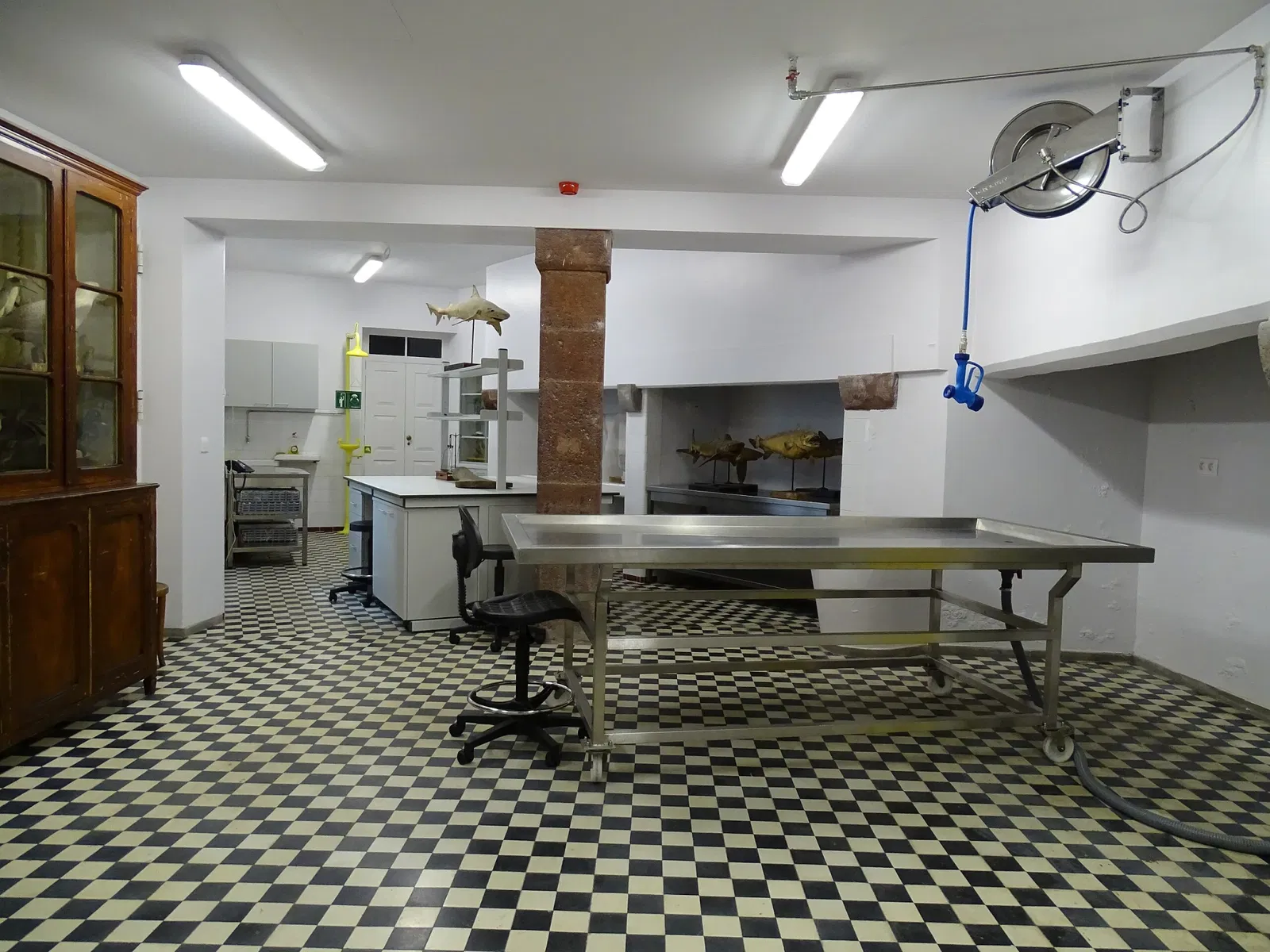 Natural History Museum