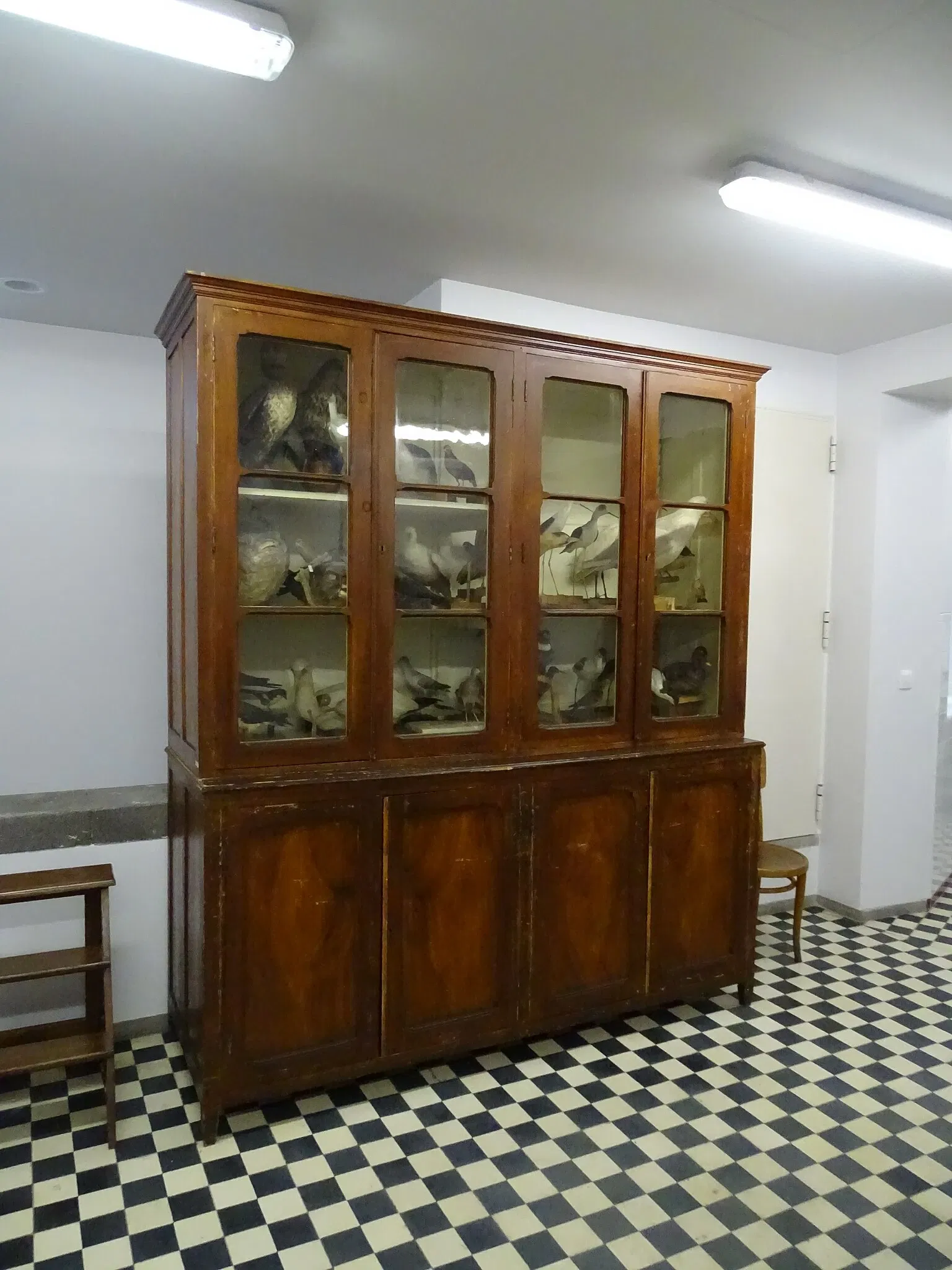 Natural History Museum