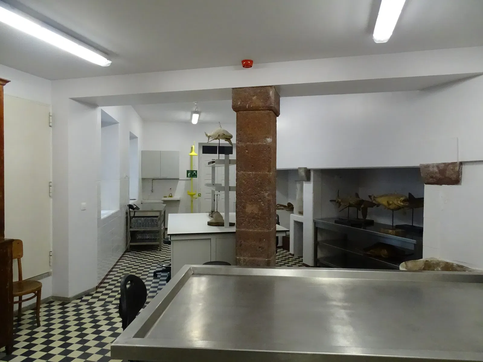 Natural History Museum