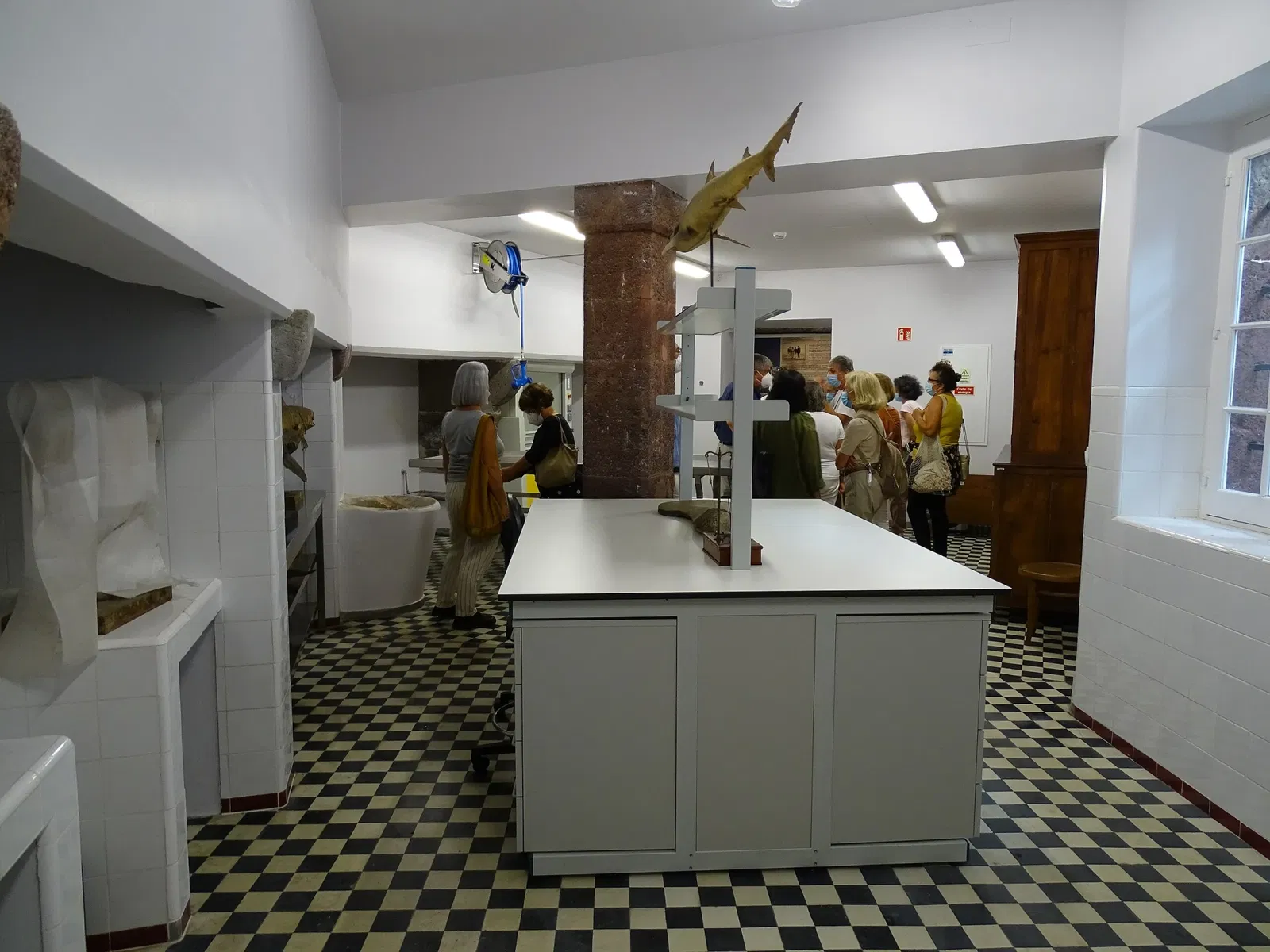 Natural History Museum