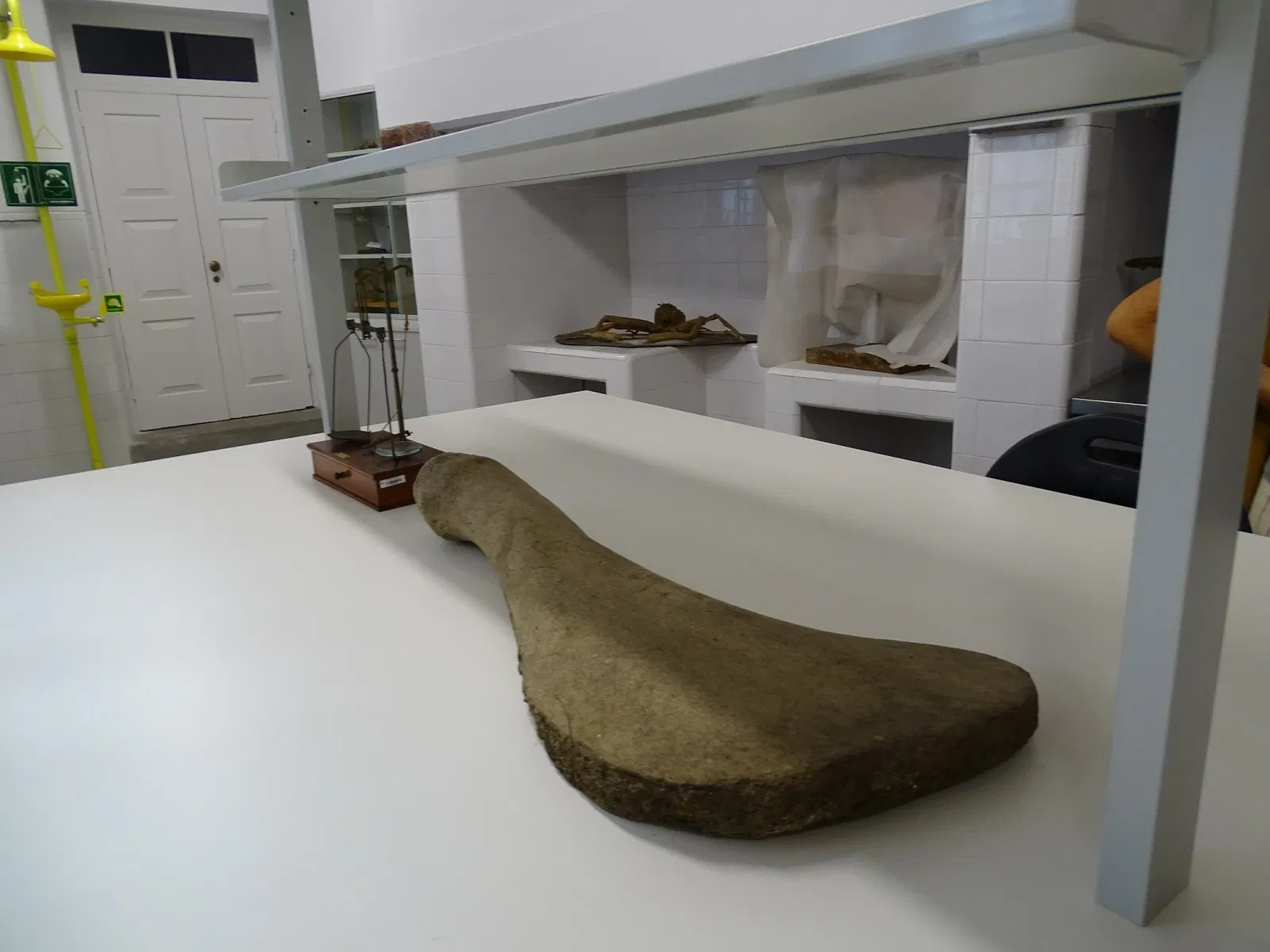 Natural History Museum