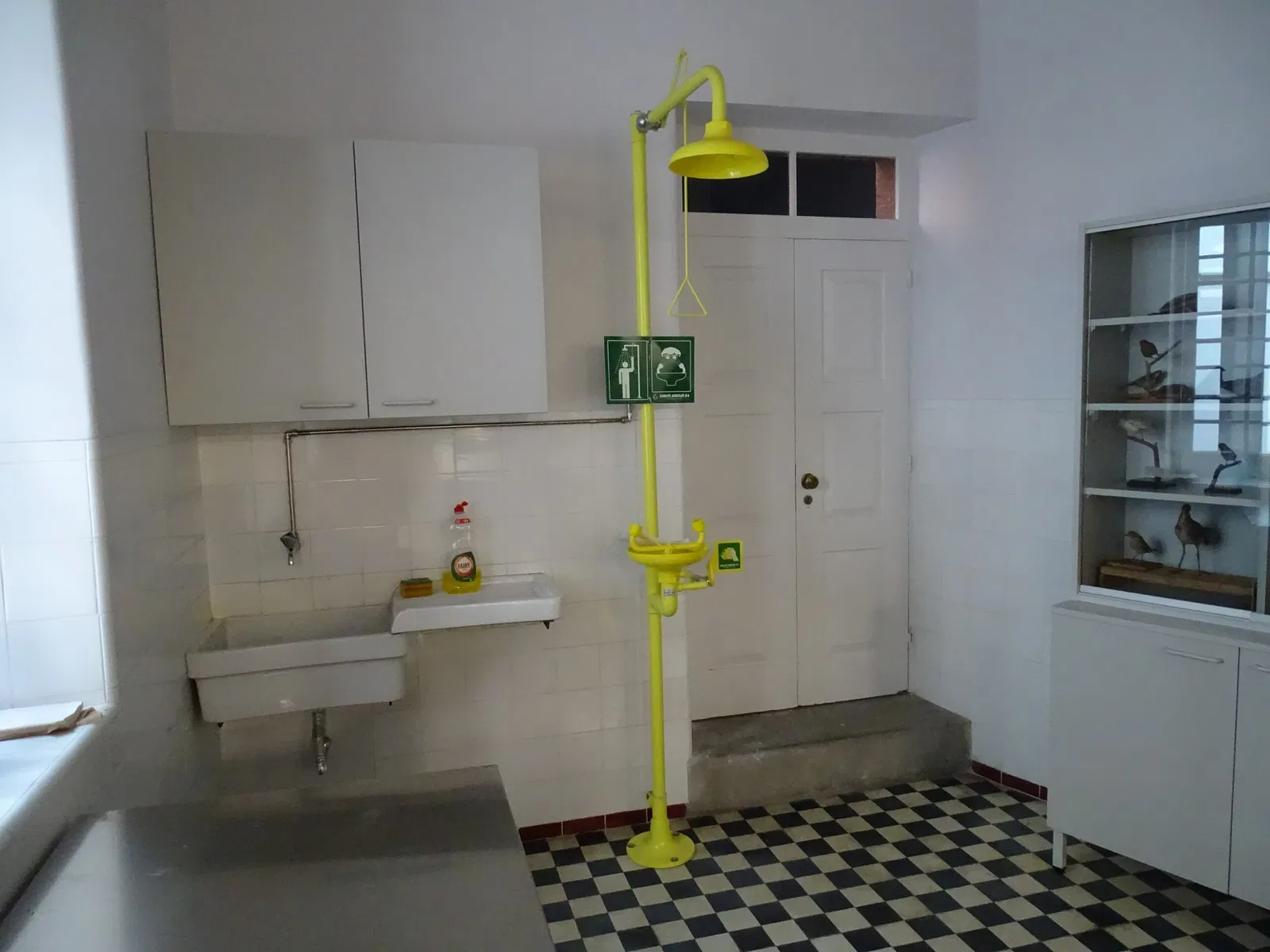 Natural History Museum