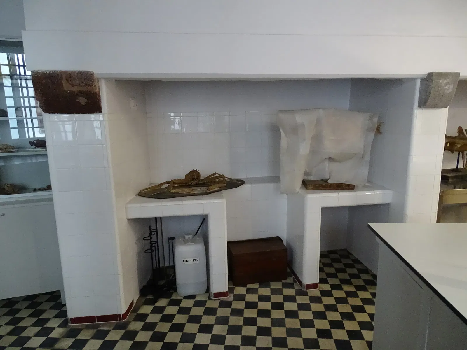 Natural History Museum