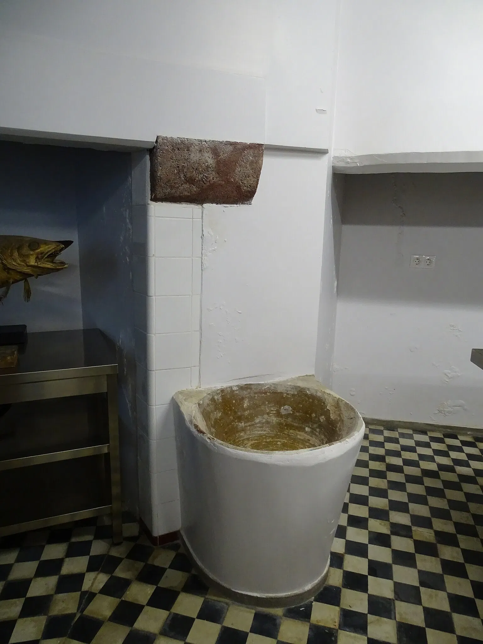 Natural History Museum