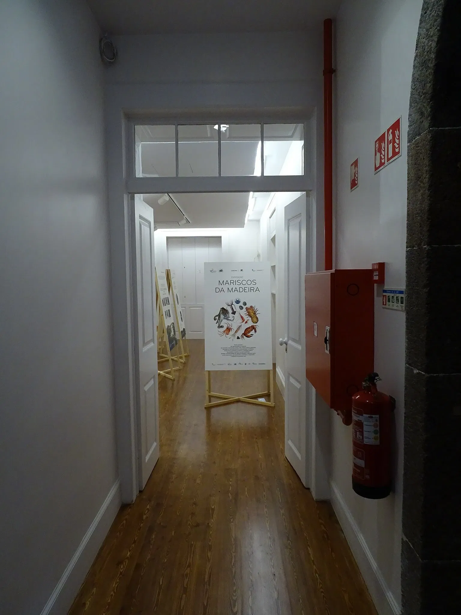 Natural History Museum