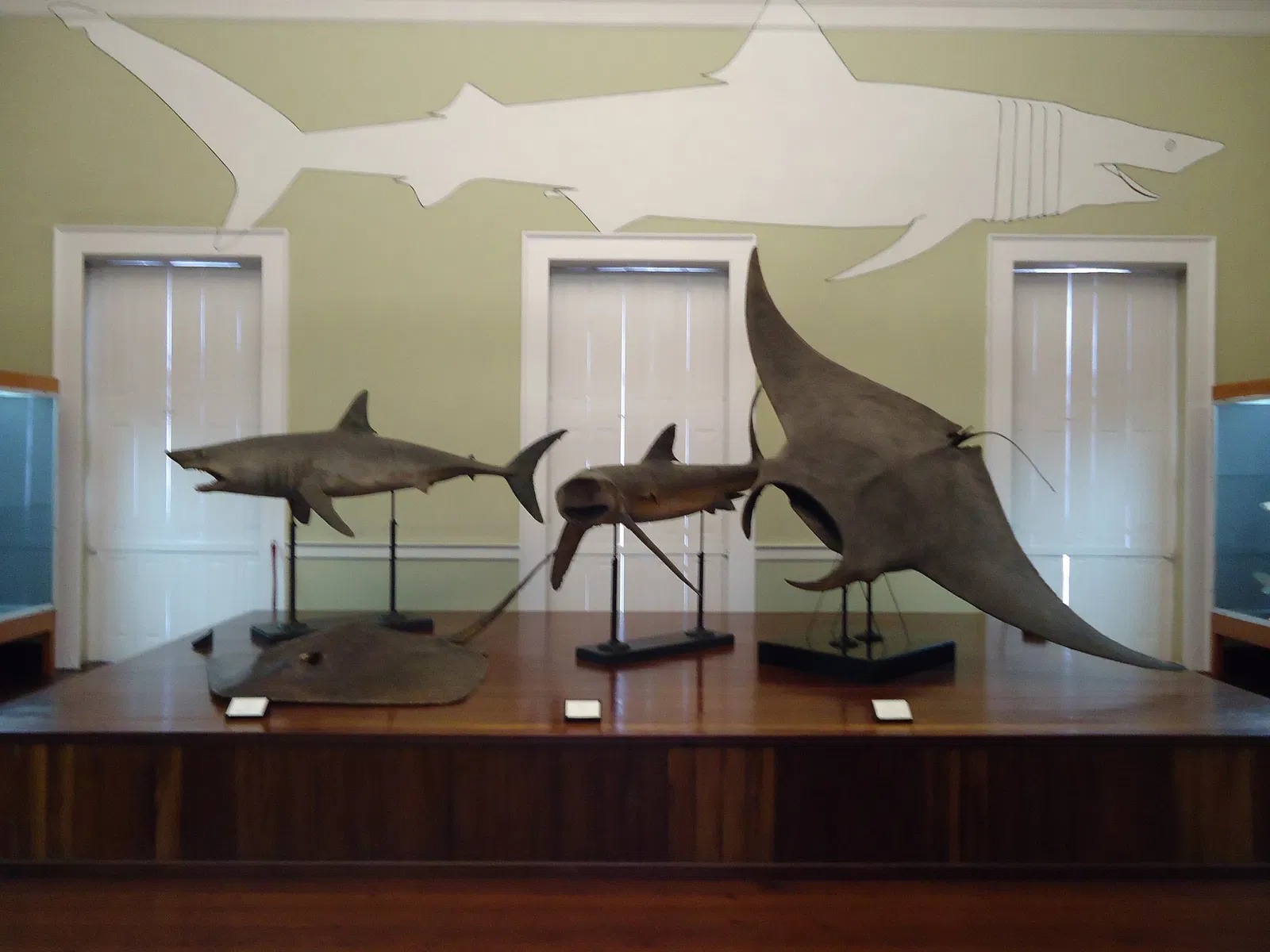 Natural History Museum